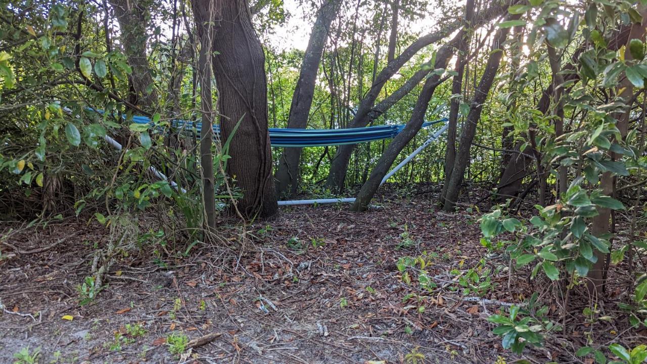 Your Manatee And Scalloping Adventure Retreat 克里斯特尔里弗 外观 照片