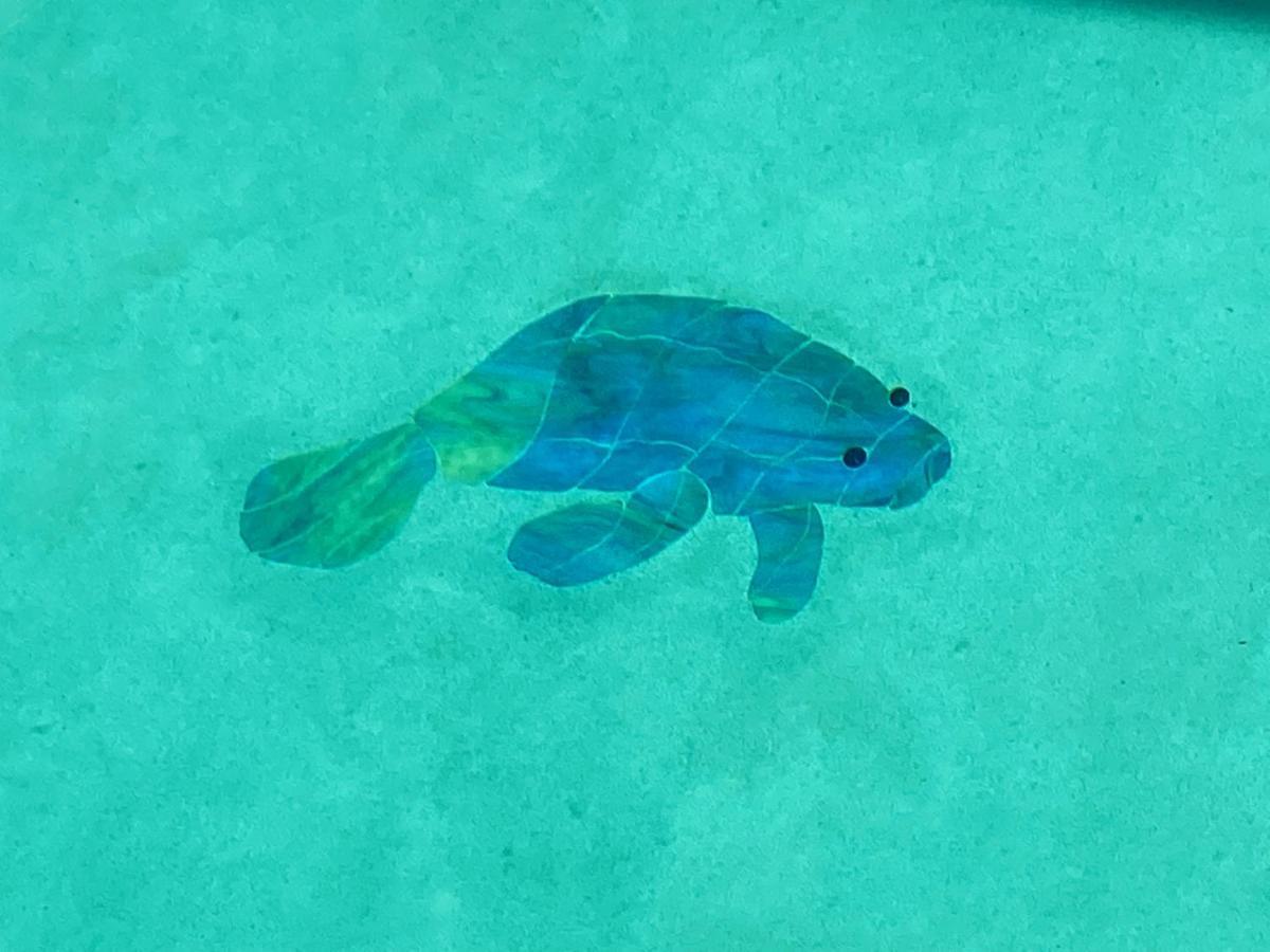 Your Manatee And Scalloping Adventure Retreat 克里斯特尔里弗 外观 照片